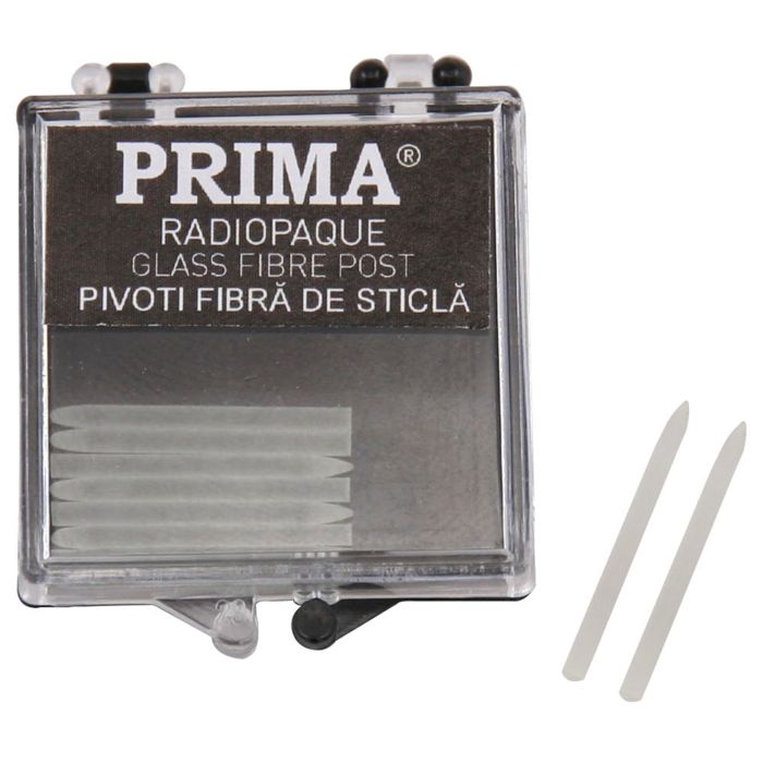 Pivoti endodontici