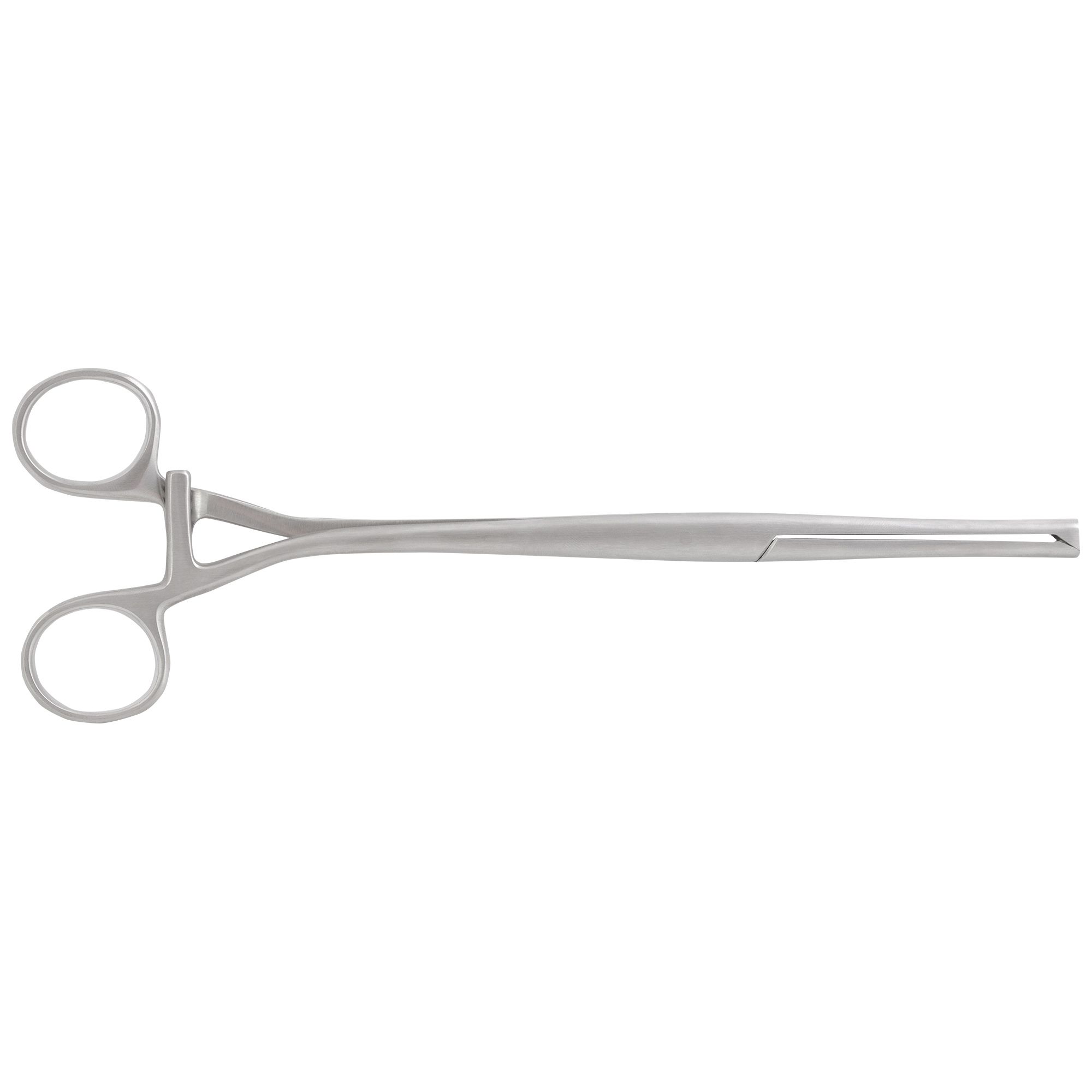 Pensa Museaux 24cm