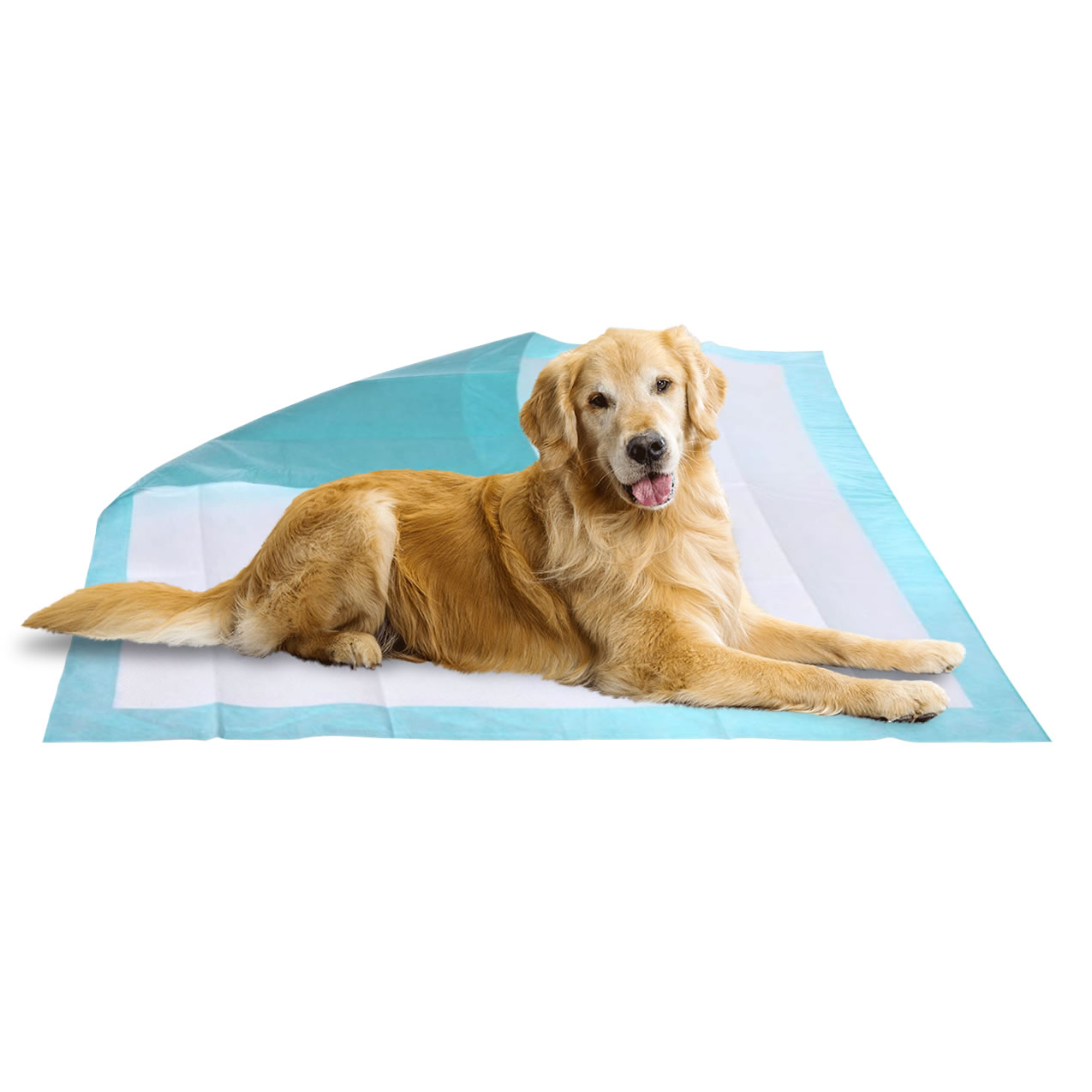 Covorase absorbante caini PRIMA 40x60cm, 30 buc - aleze igienice, protectie podea